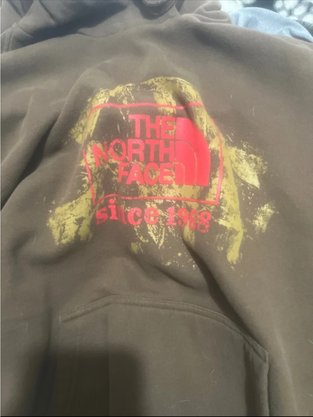 The North Face Kids Brown Hoodie with Red Logo and Yellow Graphic